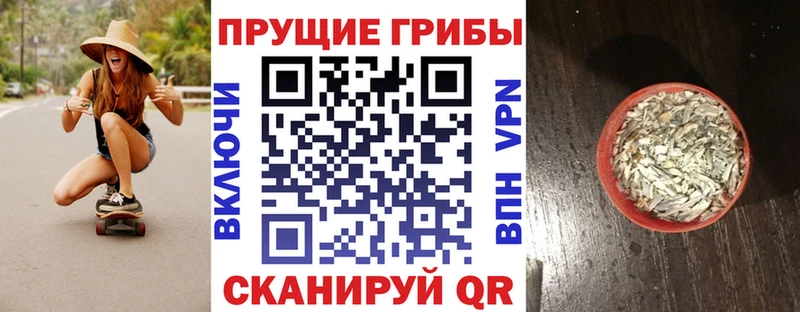 Галлюциногенные грибы мухоморы  кракен ССЫЛКА  Юрьев-Польский 